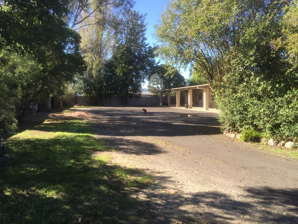 Murray Valley Motel Wodonga Exterior photo
